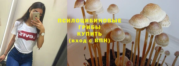 гашик Карпинск