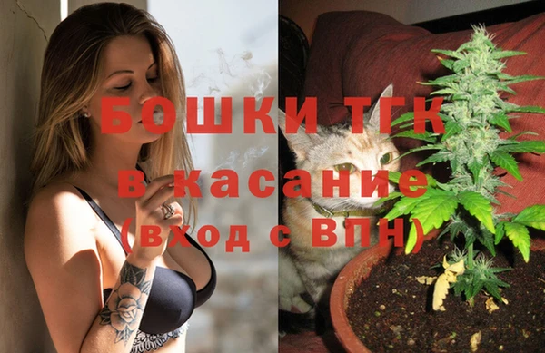 гашик Карпинск