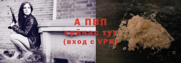 PSILOCYBIN Каменка