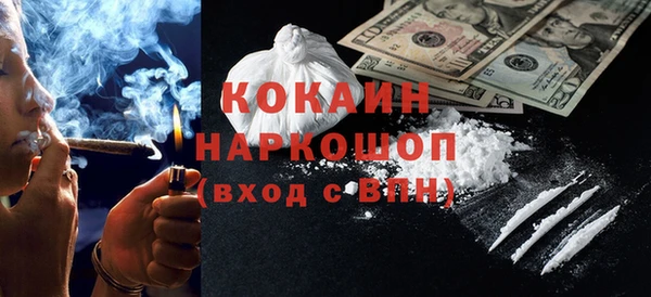 PSILOCYBIN Каменка