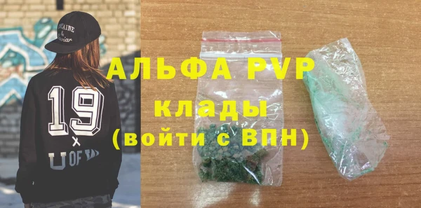 PSILOCYBIN Каменка