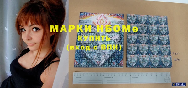 гашик Карпинск
