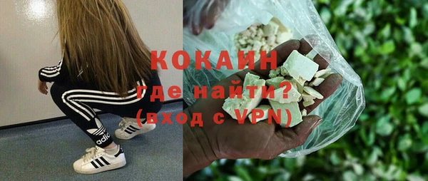 гашик Карпинск