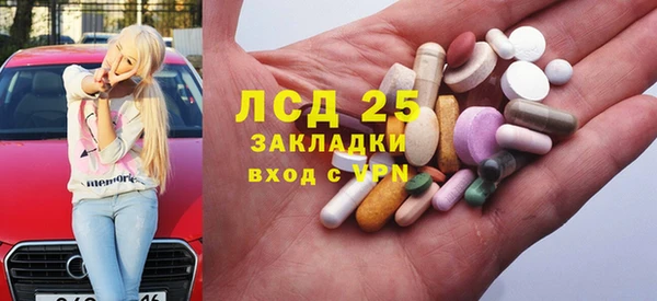 PSILOCYBIN Каменка