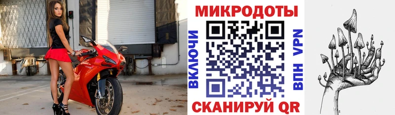 blacksprut Льгов Галлюциногенные грибы мицелий